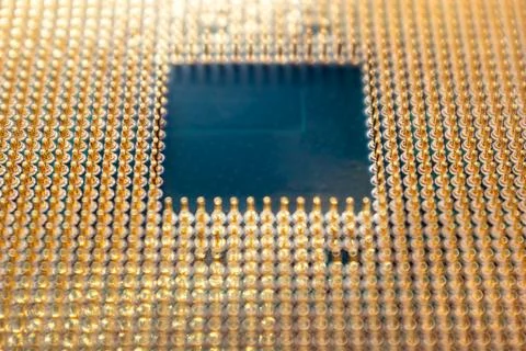 CPU golden pins contacts, processor unit close-up 스톡 사진