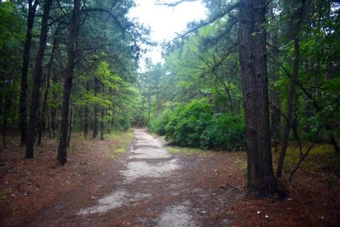 CQ Park - Off the Beaten Path -9 Stock Photos