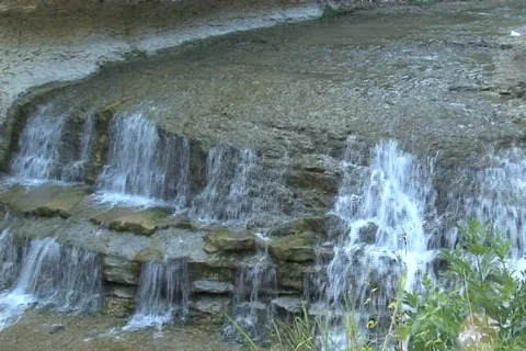 CR 1 DV Video stock 499880