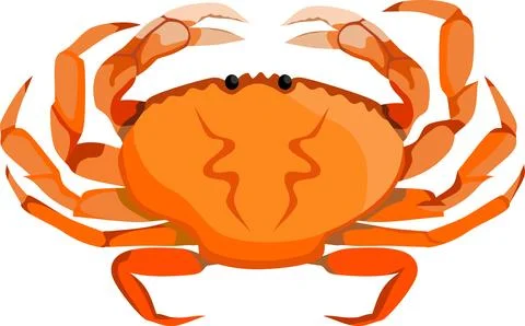 Crab Animal Stock Illustration