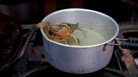 Crab boiling in a pan, seafod concept, kerala, India. Fishmarket. Stock Footage 283975416