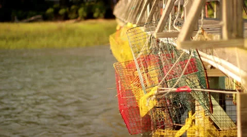 Crab Cages Vídeos de archivo 25444334