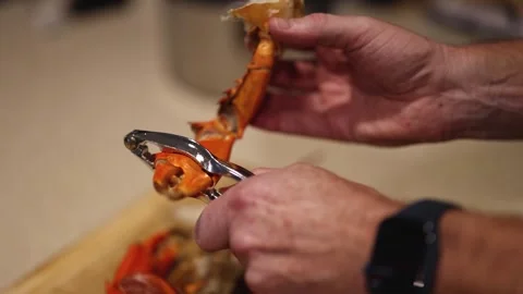 Crab Claw Cracking Tutorial 動画素材 297446643