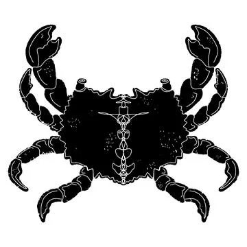 Crab with claws and pattern. Graphics, stylization, linocut. Vector element. Stock Illustration
