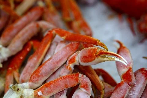 Crab claws texture. Crab claws with ice. Frozen crab claws. Crab claws closeup. Stock Photos