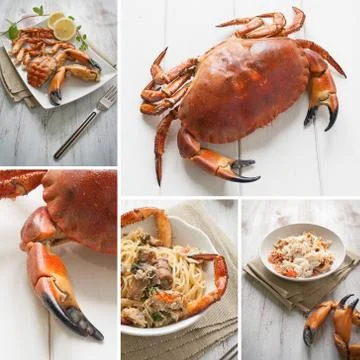 Crab composition Stock Photos