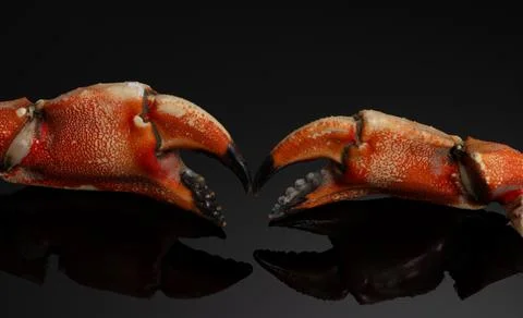 Crab cracked shell texture. Crab vibrant macro close up. Crab restaurant fo.. Stock Photos