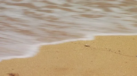 Crab crawling on sand Video stock 54592574