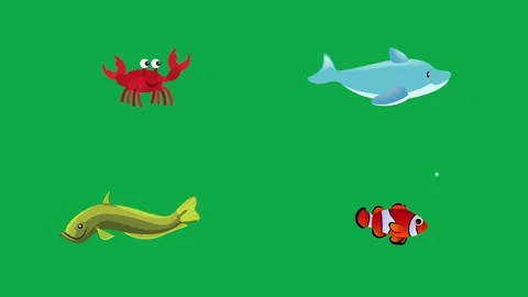 Crab Dolphin Eel Clownfish animation on green screen minimal animated Stock Footage 334704371