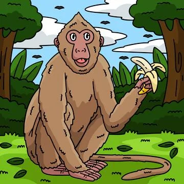 Crab Eating Macaque Monkey Colored Cartoon Stock Illustration