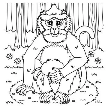 Crab Eating Macaque Monkey Coloring Page for Kids イラスト素材