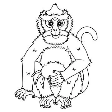 Crab Eating Macaque Monkey Isolated Coloring Page Stock Illustration