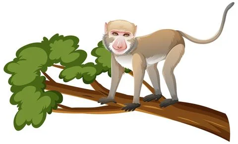 Crab-eating macaque or monkey on tree branch in cartoon style on white backgr Stock Illustration