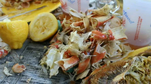 Crab Feast Aftermath Stock-Footage 664385