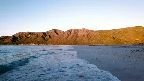 Crab FHD 動画素材 124101124