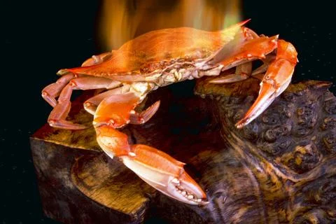 Crab on Fire. Stock Photos