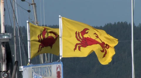 Crab Flags Waving at the Dock Stock-Footage 39702969