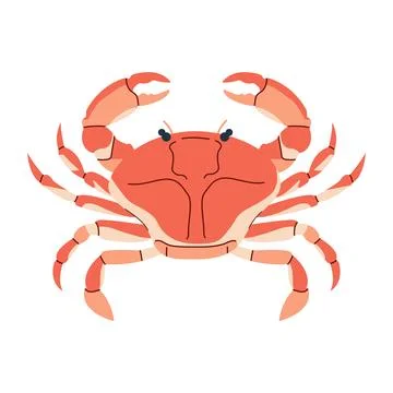 Crab flat vector illustration. Marine ocean crustacean. Fresh uncooked seaf.. Stock Illustration