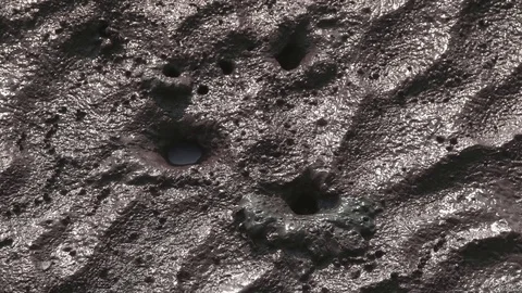 Crab getting out of a hole Stock Footage 77036896