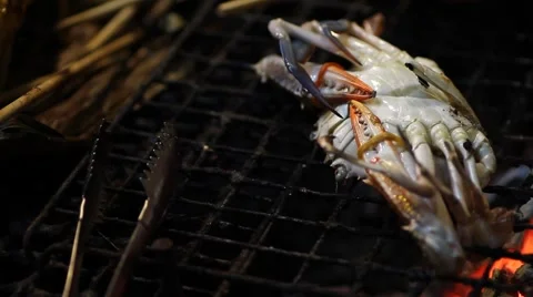 Crab Grill Stock Footage 56849964