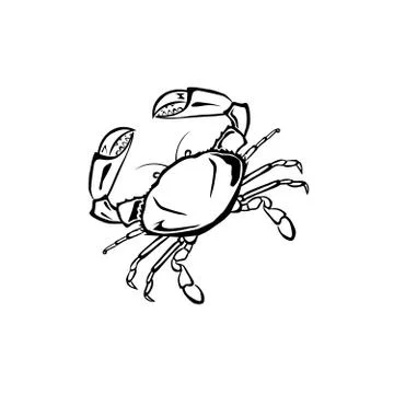 Crab Stock Illustration