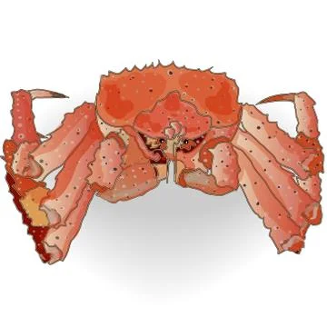 Crab isolated Stock Illustration