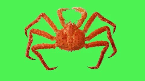Crab Kamchatka Stock Photos