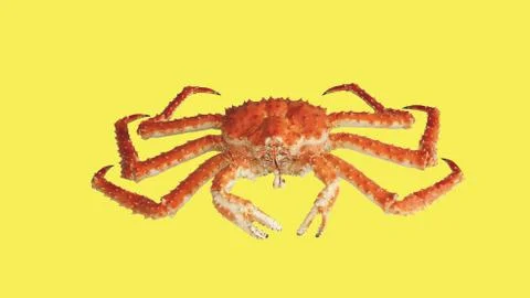 Crab Kamchatka Stock Photos