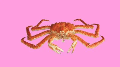 Crab Kamchatka Stock Photos