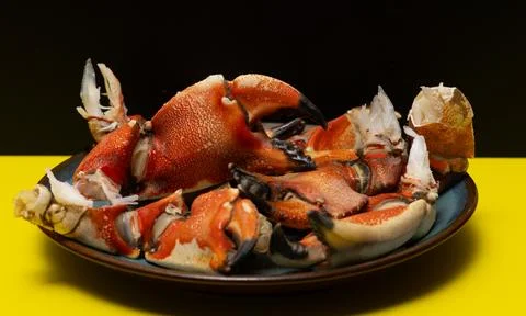 Crab macro texture close up. Crab vibrant background concept. Crab shell cr.. Stock Photos
