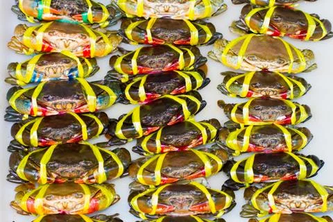 Crab meat bound Stock Photos