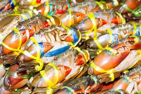 Crab meat bound Stock Photos