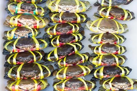 Crab meat bound Stock Photos