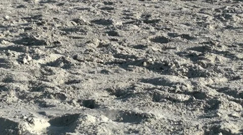 Crab Mid Shot 002 Stock Footage 7741067