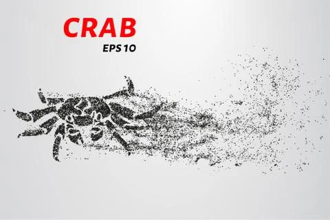 Crab particles. The crab consists of small circles. Stock Illustration