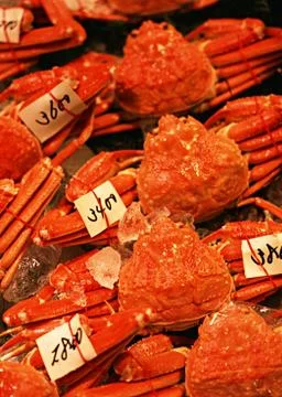 Crab Stock Photos