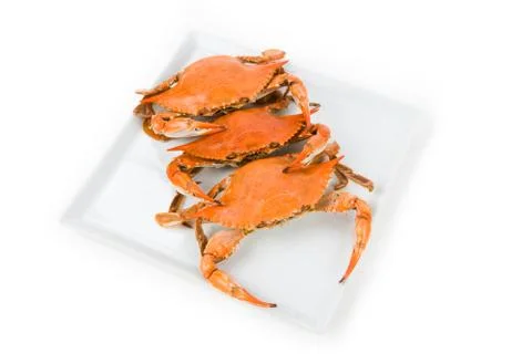 Crab Stock Photos
