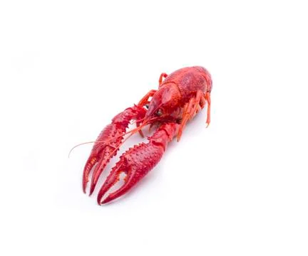 The crab Stock Photos