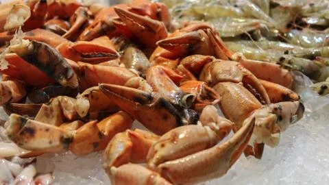 Crab Stock Photos