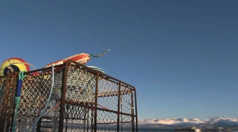 Crab Pot Set Walk By Stock Footage 10685789