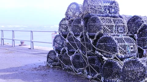 CRAB POTS MUDEFORD Video stock 236696876