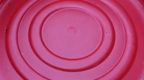 Crab in the red bucket, crabs in mesh bags Stock Footage 58201092
