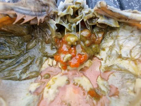 Crab Roe in Crab Shell. Focus and close up Stock Photos
