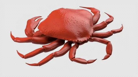 Crab rotating - 3d render looped with alpha channel. Stock Footage 167531569