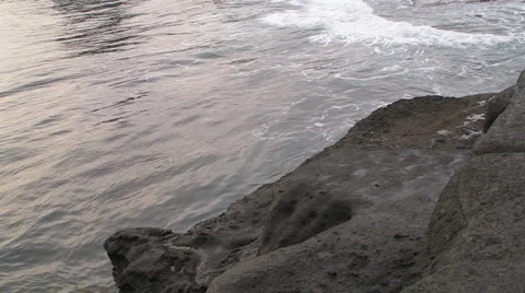 Crab Rush Stock-Footage 5089344