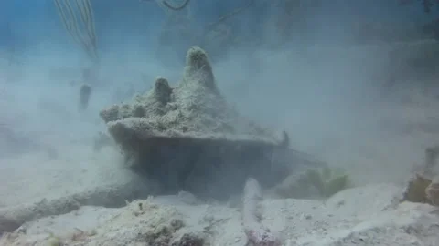 Crab on sandy bottom close-up underwater. Stock Footage 235649900