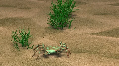 Crab scurrying on sandy beach during hot summer day Stock Footage 62825518