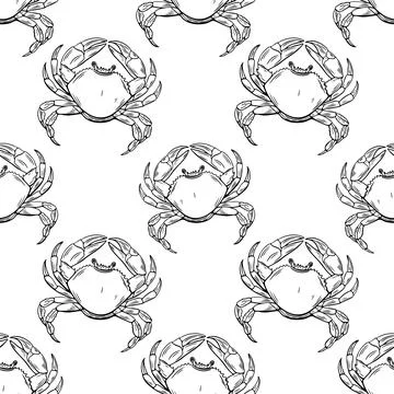 Crab seamless pattern  hand drawn marine food background Stock Illustration