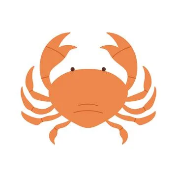 Crab with shell and claws, top view of fresh or cooked seafood 스톡 일러스트