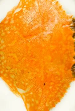 Crab shell texture Stock Photos